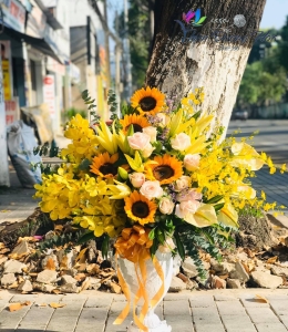 Bình hoa - Tỏa sáng TĐH04