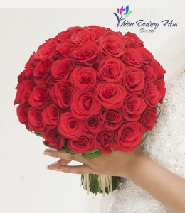 Will You Marry Me !!!