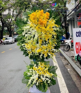 Hoa chia buồn - HV12