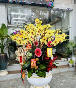 Lan Hồ Điệp TĐH 03 Lan Hồ Điệp TĐH 08