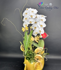 Lan Hồ Điệp TĐH 12