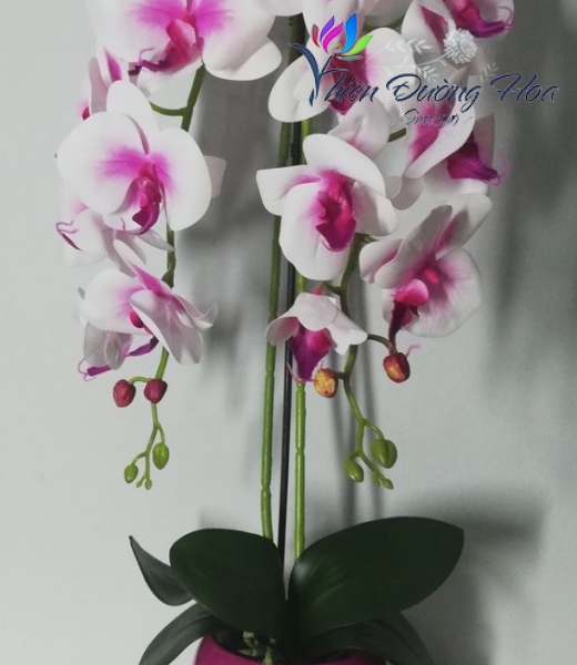 Hoa lụa cao cấp - TĐH 08