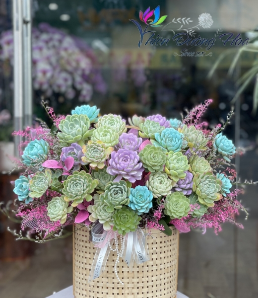 Bình hoa sen đá 06