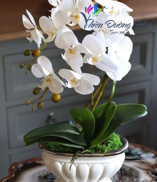 Hoa lụa cao cấp - TĐH 07