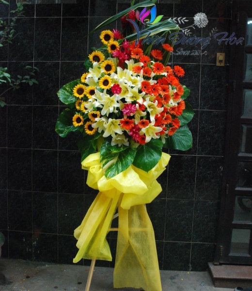 Hoa Chúc Mừng -  T23