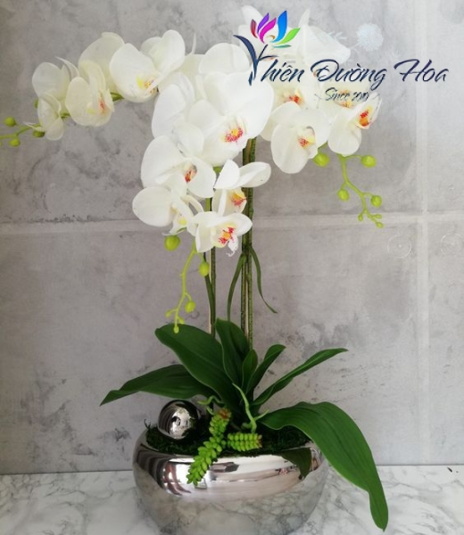 Hoa lụa cao cấp - TĐH 10