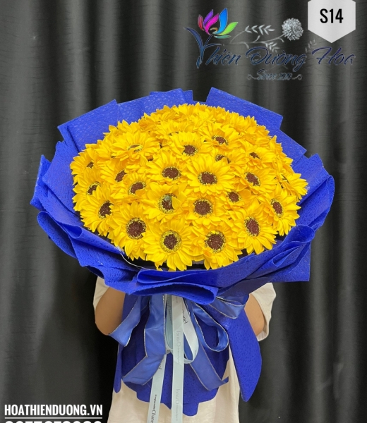 Hướng dương ngược nắng 14