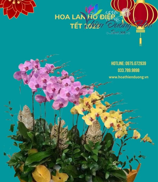 Thuyền thăng tiến