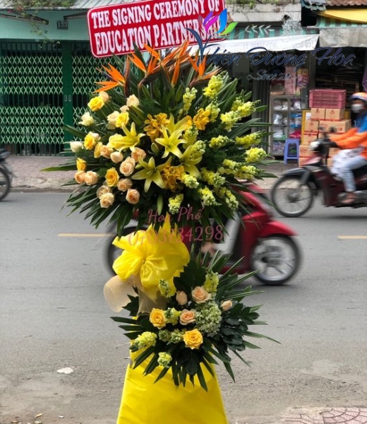 Hoa chúc mừng- Phát tài 01