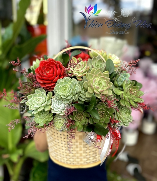 Bình hoa sen đá 05