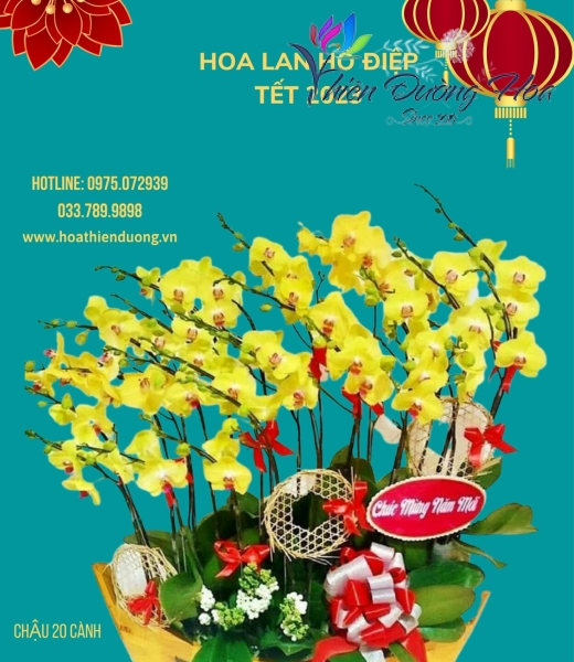 Thuyền thần tài