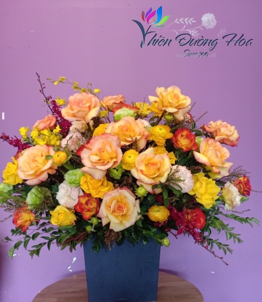 Mùa xuân ấm áp 26