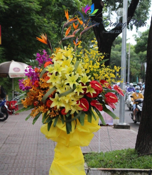 Hoa Chúc Mừng -  T26