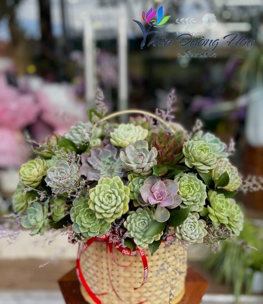 Bình hoa sen đá 04