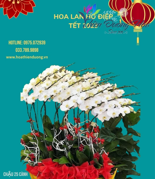 Thuyền vươn xa