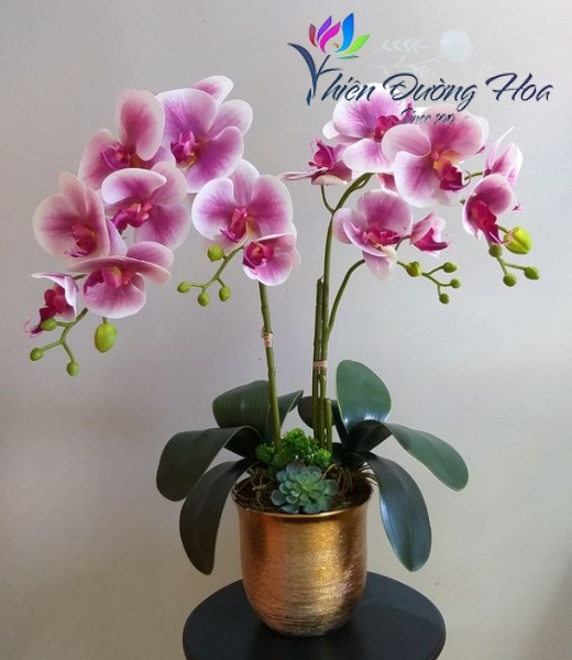 Hoa lụa cao cấp - TĐH 13