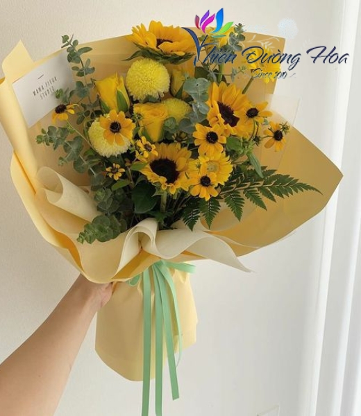 Màu nắng- TĐH 004