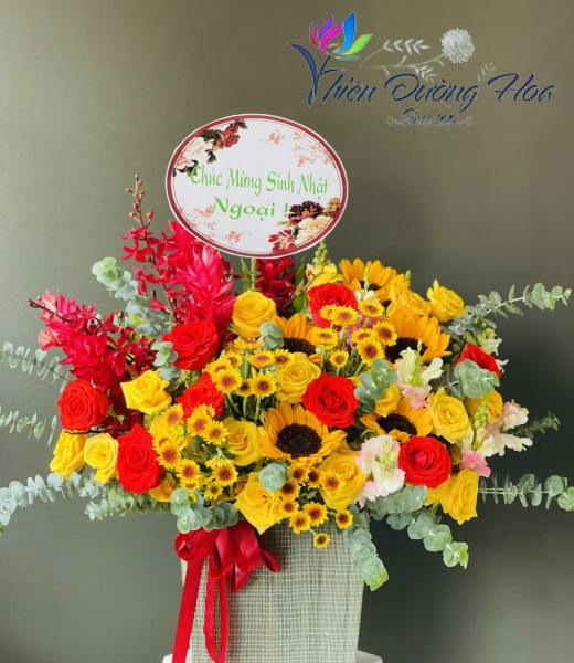 Ban mai rực rỡ 29