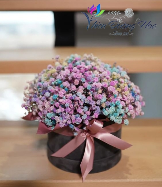 Cầu vòng sau mưa 39