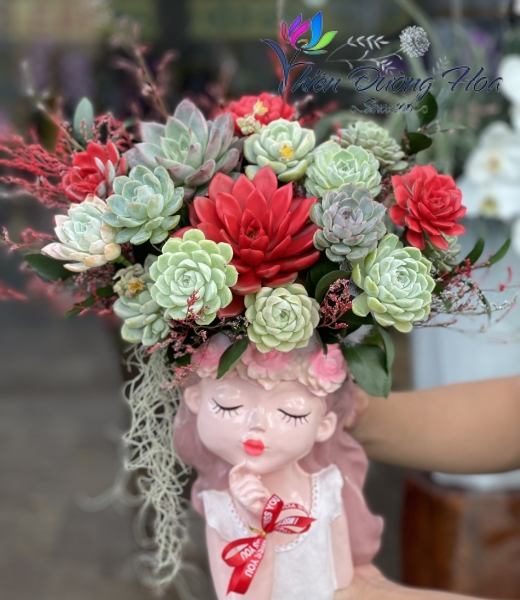 Bình hoa sen đá 01