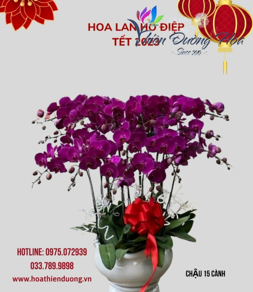 Ấm áp hạnh phúc