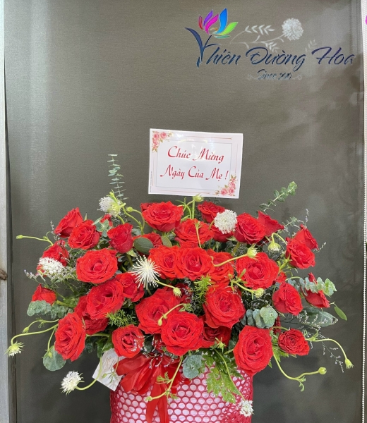 Dịu dàng ngày thu 31