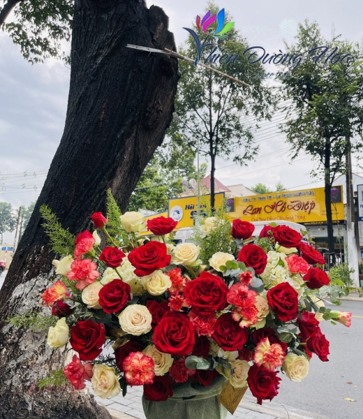 Bình hoa- Màu nắng tàn đầy