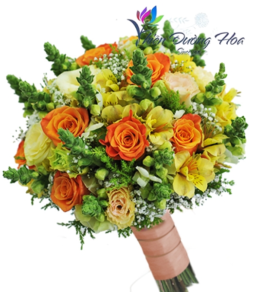 Sắc màu hạnh phúc- HP08