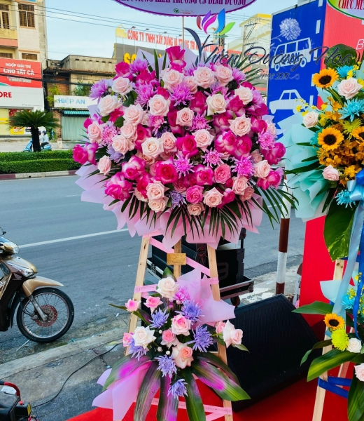 Hoa khai Trương- Sắc hồng tươi tắn 08