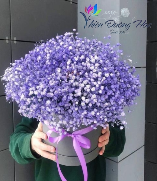 Tím thủy chung 36