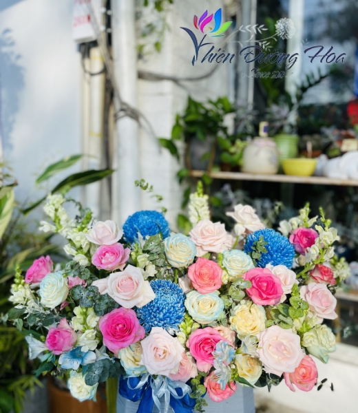 7 sắc cầu vòng 01