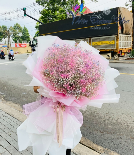 Hoa baby- Sắc màu sặc sỡ