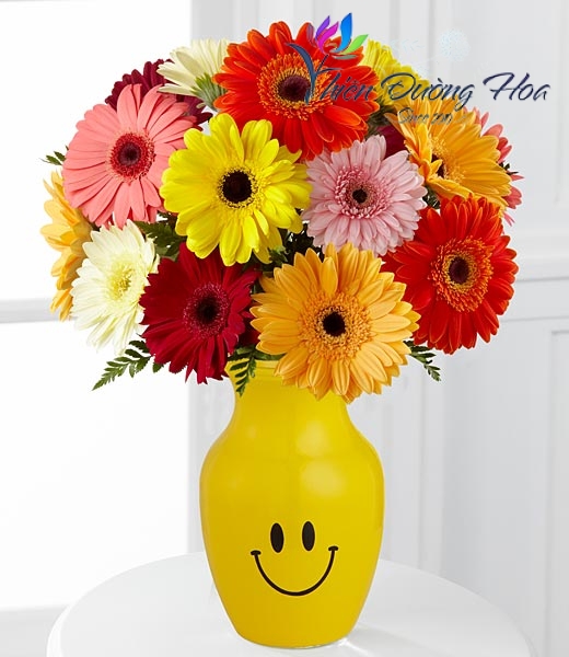 Hoa đồng tiền bình nhỏ