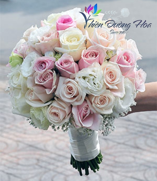 Tinh Khiết- Trọn Vẹn