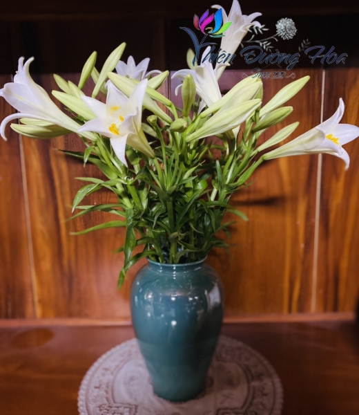 Hoa loa lèn- Tinh Khôi 01