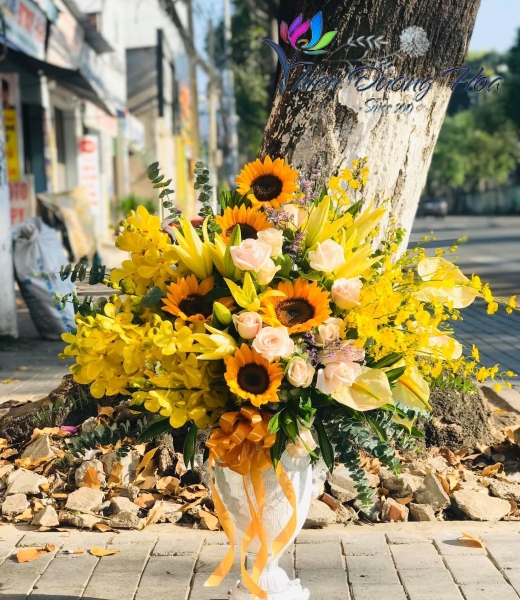 Bình hoa - Tỏa sáng TĐH04