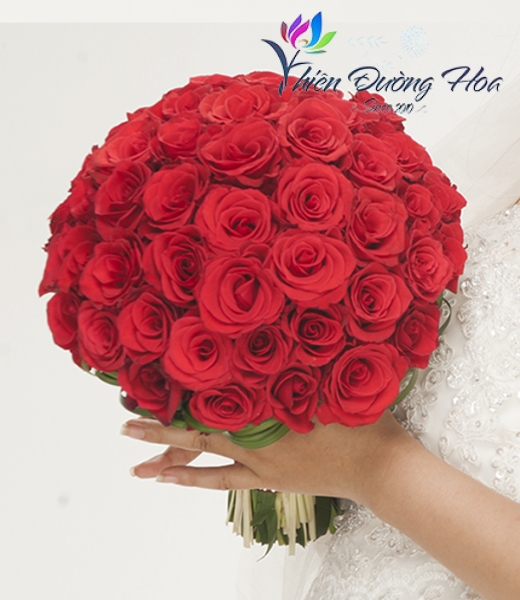 Will You Marry Me !!!